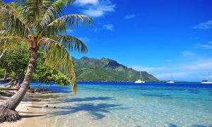 Cook Islands Trust