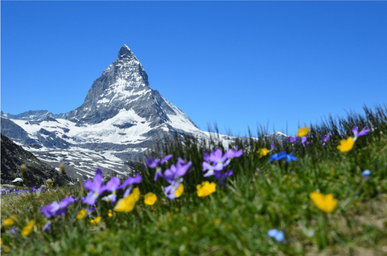 Swiss Banking Matterhorn