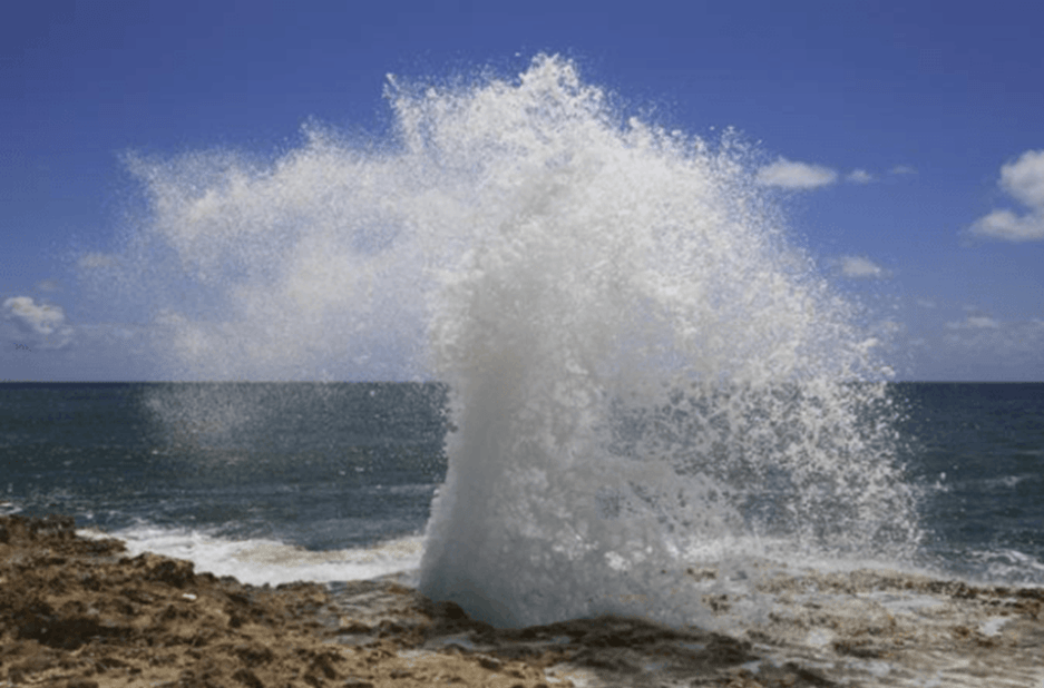Ocean Wave