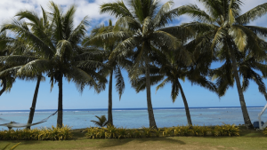 Beach in Cook Islands