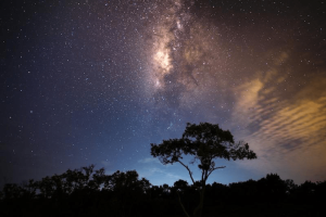 Southern Hemisphere Skyline