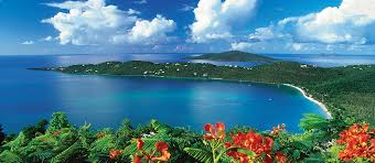 USVI Company