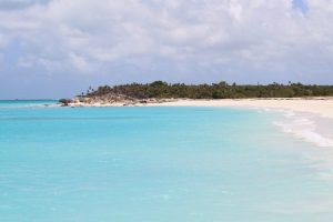 Turks & Caicos Insolvency