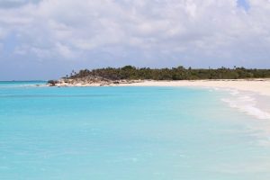 Turks & Caicos Insolvency