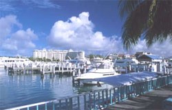 Bahamas IBC